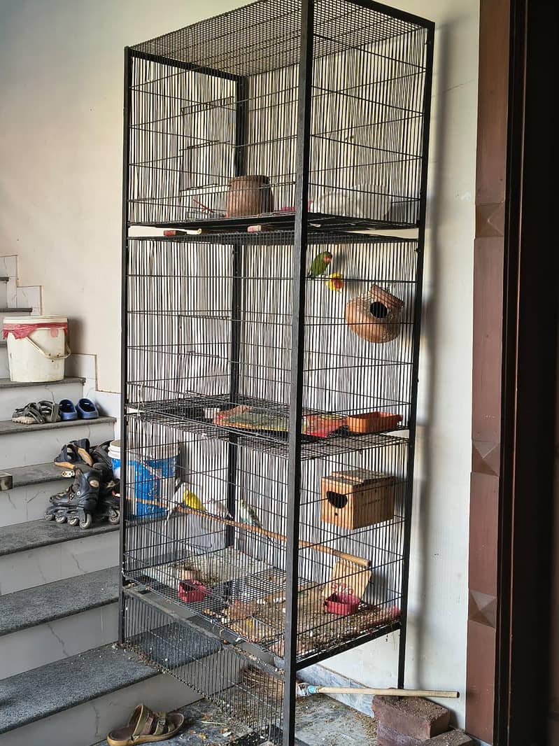 full setup with cage 13