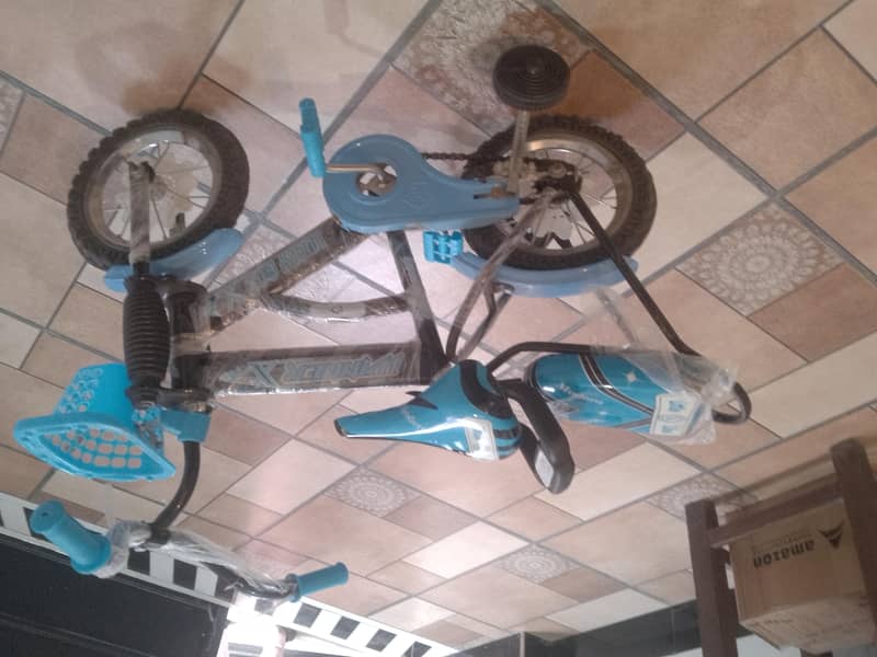 bicycle 2