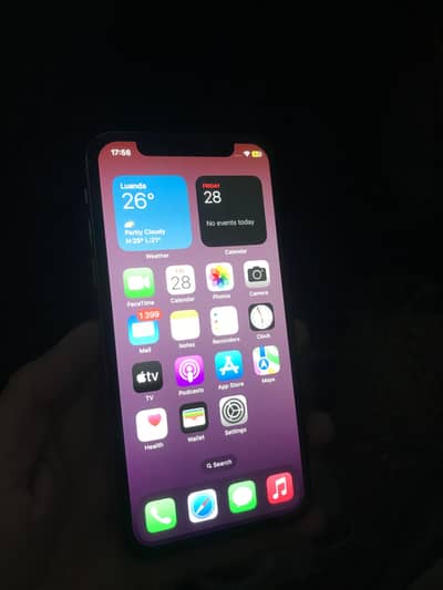 Apple iPhone X