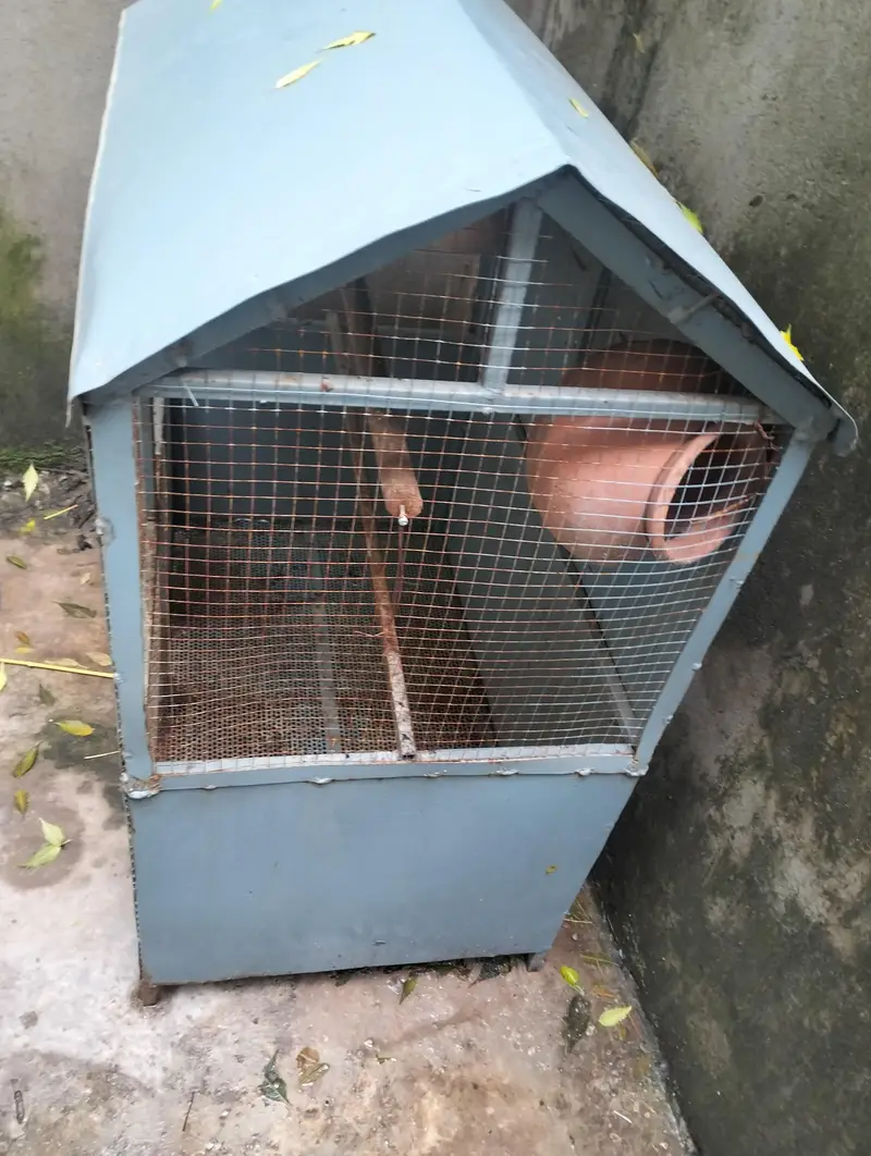 Birds cage — photo 2