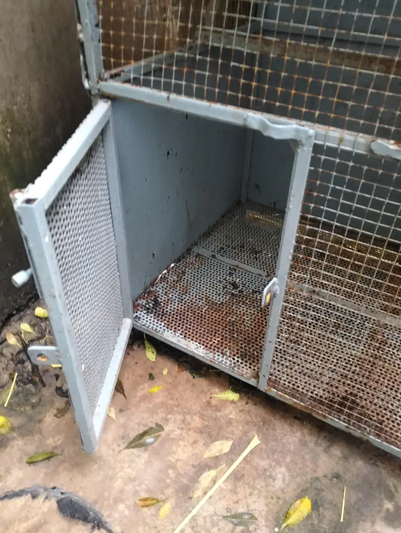 Birds cage — photo 4