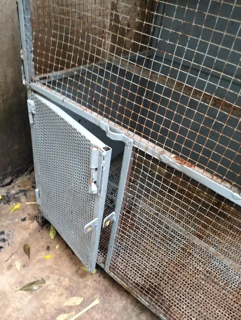 Birds cage — photo 5
