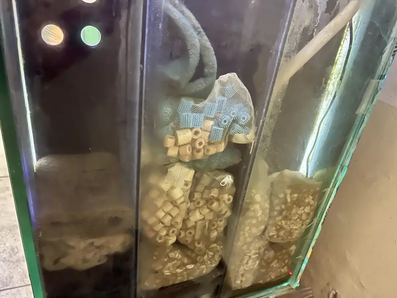 Aquarium with complete setup for sale — photo 3