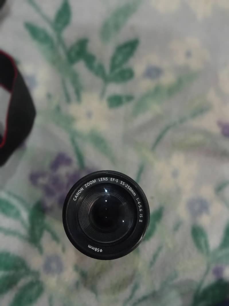 Canon camera 1