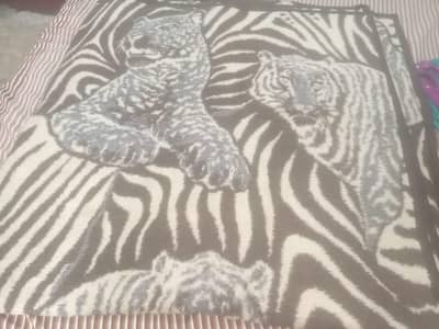 Imported Blanket
