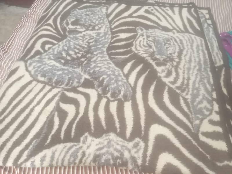 Imported Blanket 0