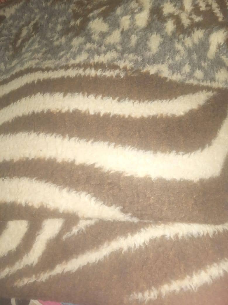 Imported Blanket 1