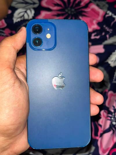 Apple iPhone 12