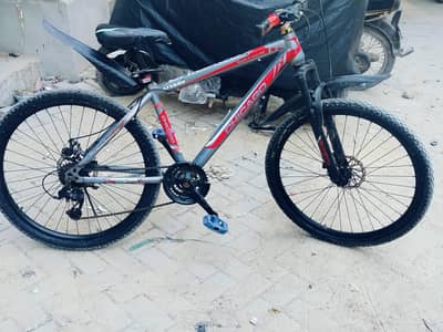 Chicago bicycle (final price)