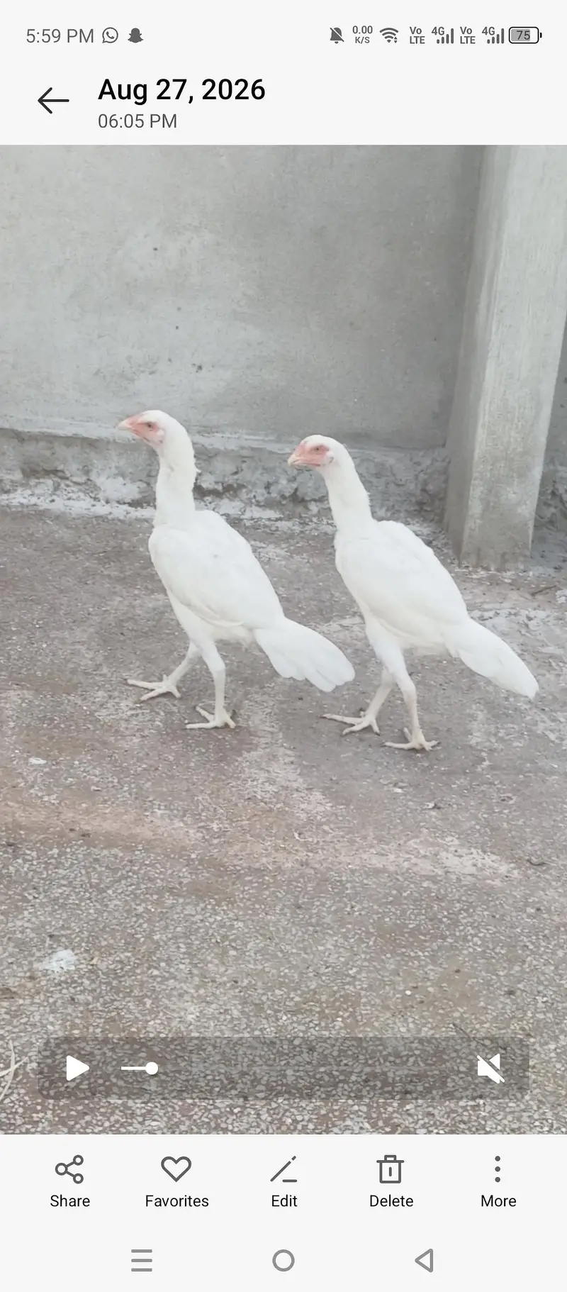 Aseel HeeraHeera 03325142813 — photo 3