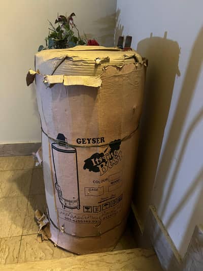 Electric geyser