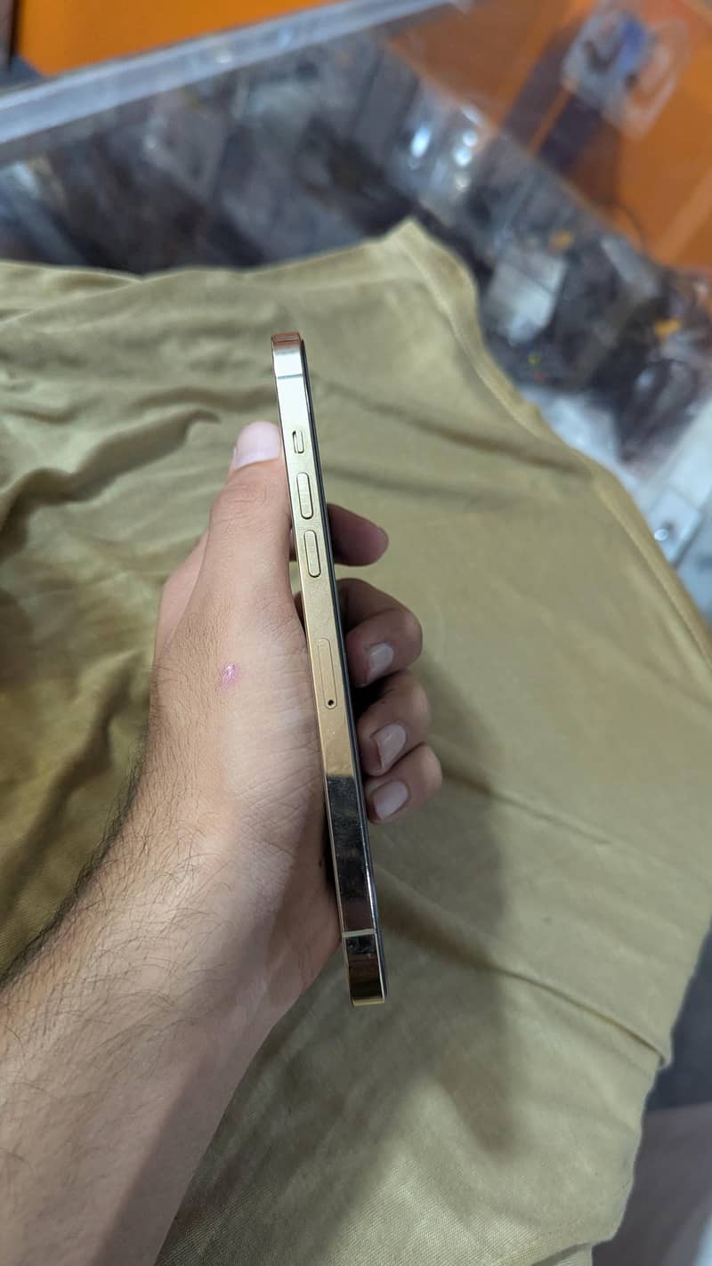 Apple iPhone 12 Pro Max 2