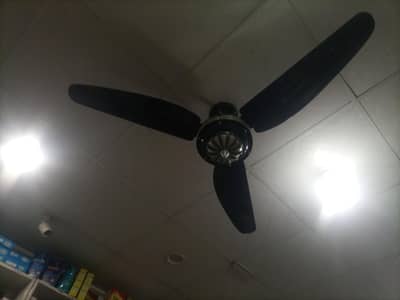 ac DC fan for sale best condition