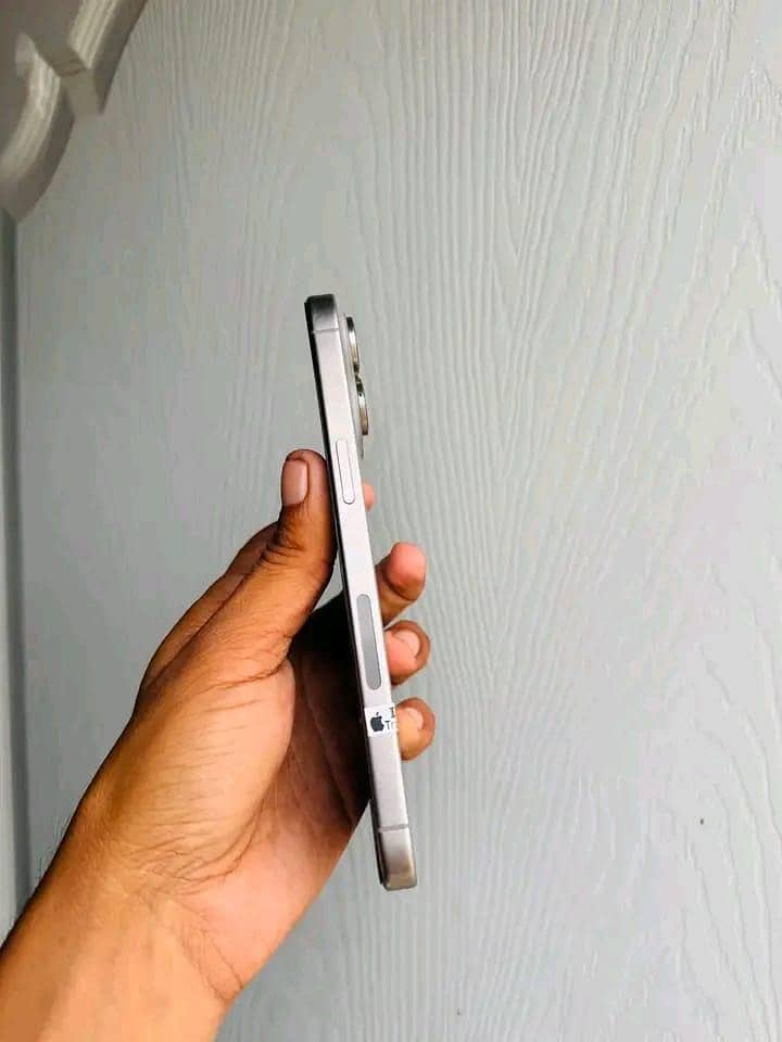 Apple iPhone 15 Pro Max 1