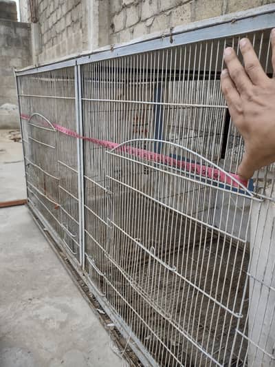2 portions big Cage for Hen's.