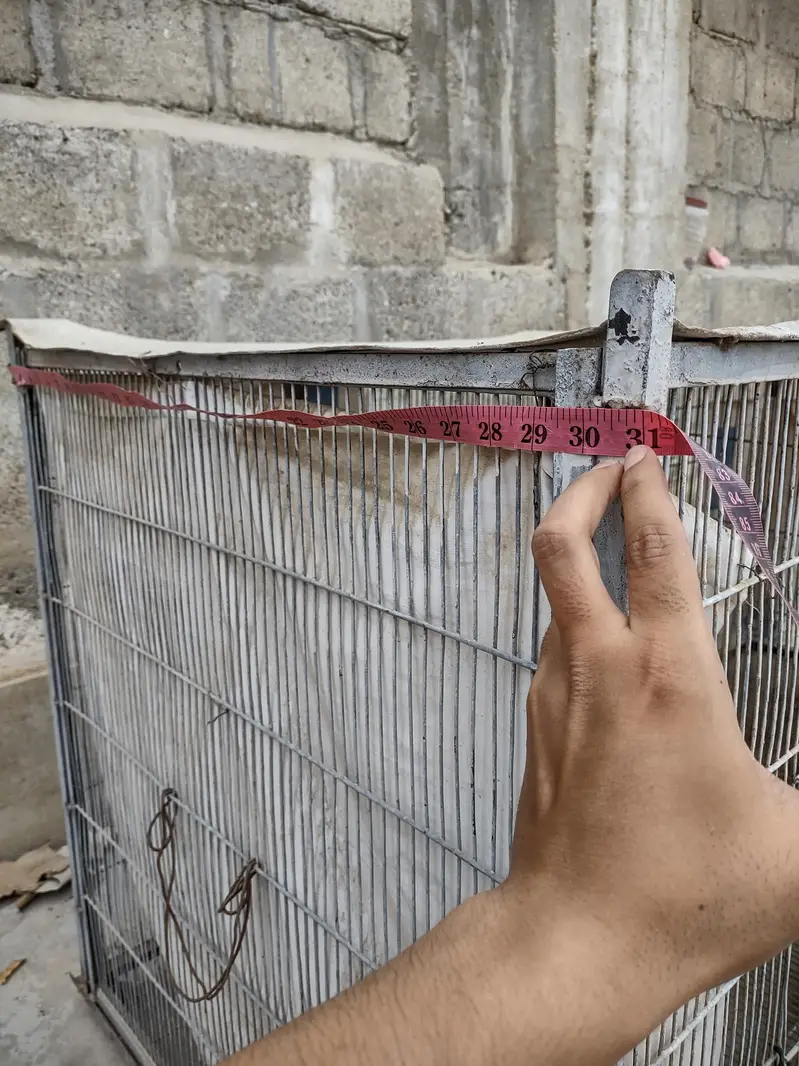 2 portions big Cage for Hen's. — photo 2