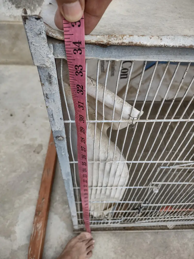2 portions big Cage for Hen's. — photo 3