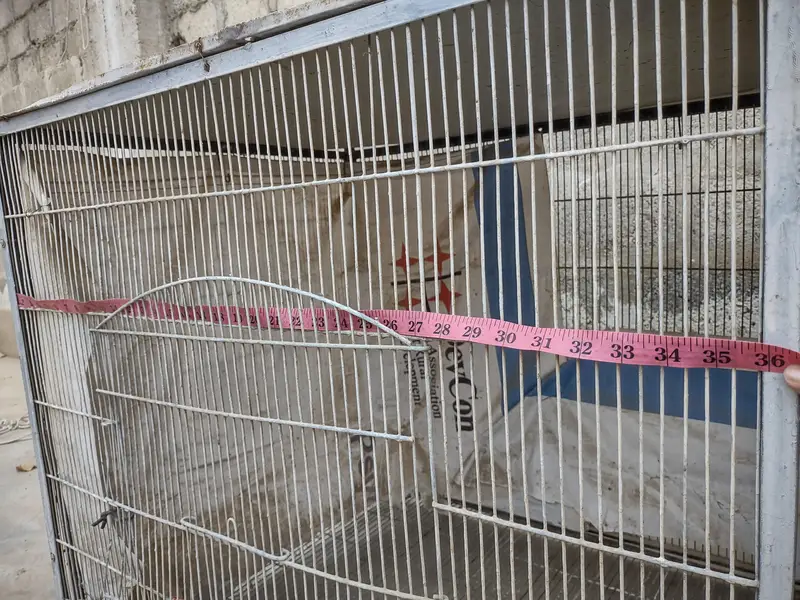 2 portions big Cage for Hen's. — photo 4