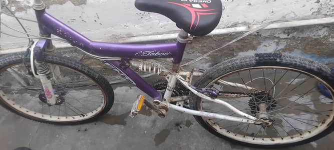 Kent Mountain Bike 24 Inch