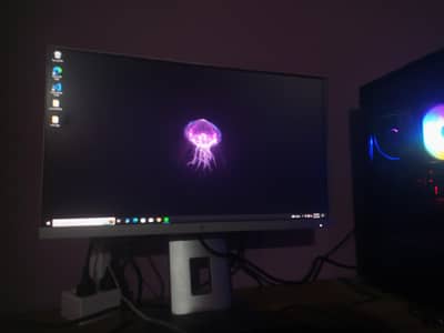 Ryzen 5 3600 Custom build Gaming PC with LCD Monitor