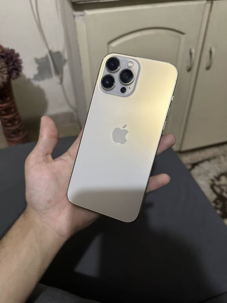 Iphone 13 pro max 0