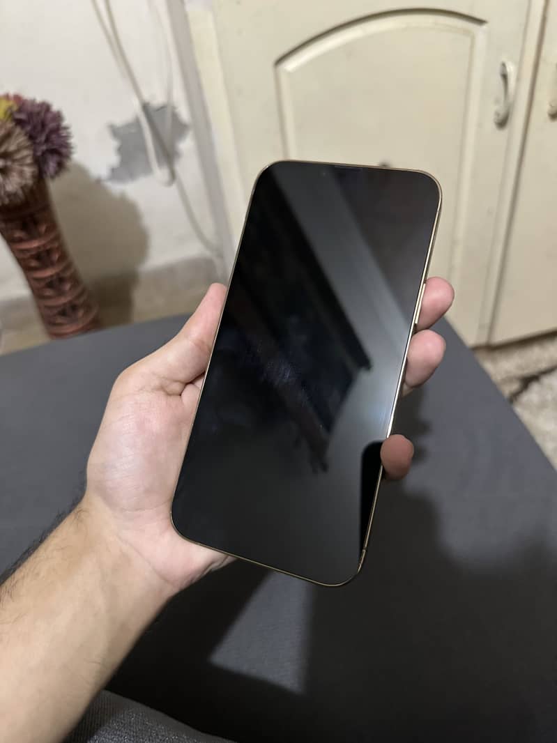 Iphone 13 pro max 1