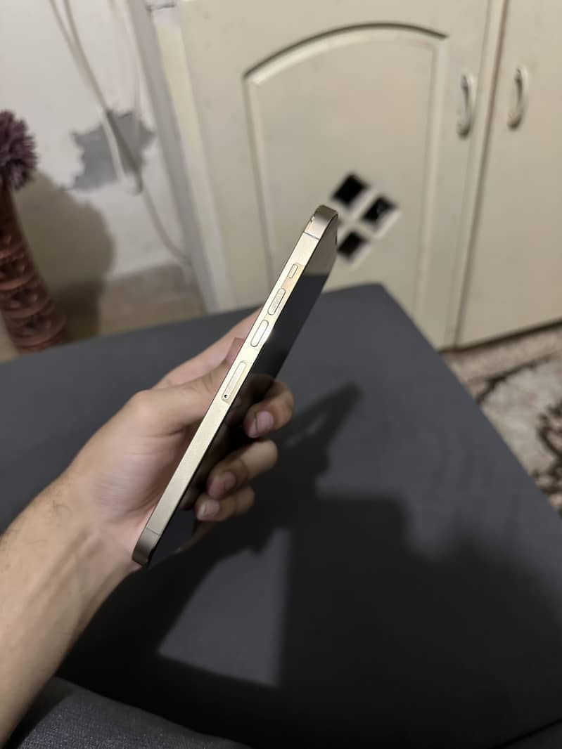 Iphone 13 pro max 4