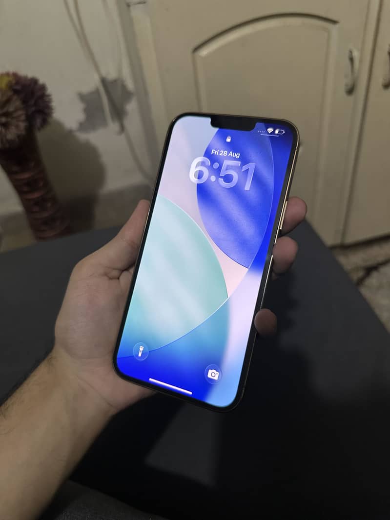 Iphone 13 pro max 6