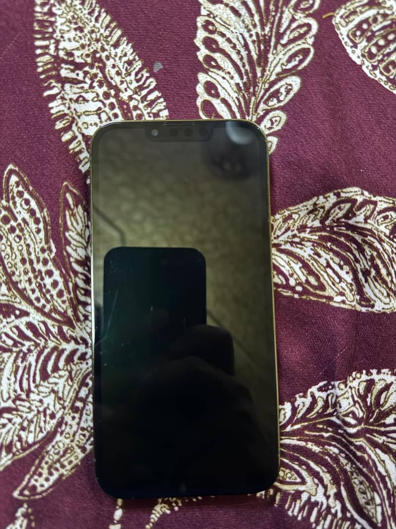 Apple iPhone 13 Pro 3