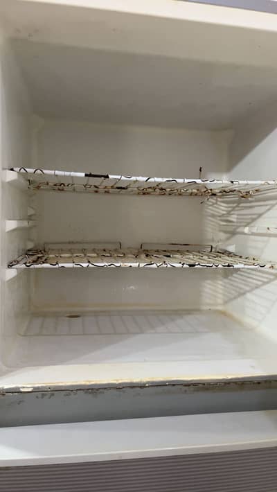 Haier refrigerator