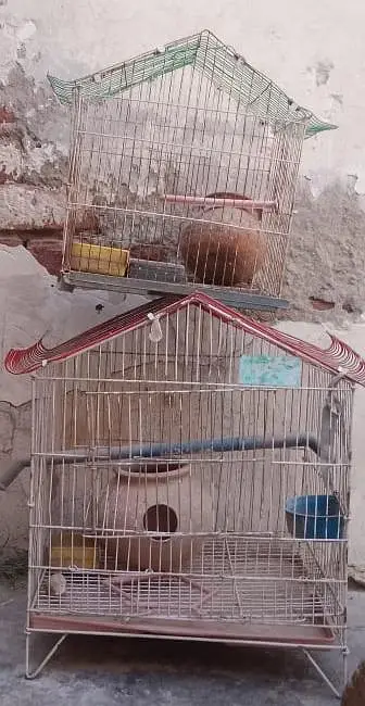 3 CAGES FOR SALE URGENT — photo 2