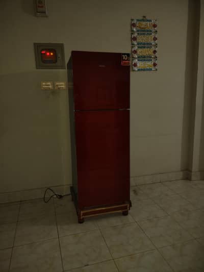 Hair fridge medium size