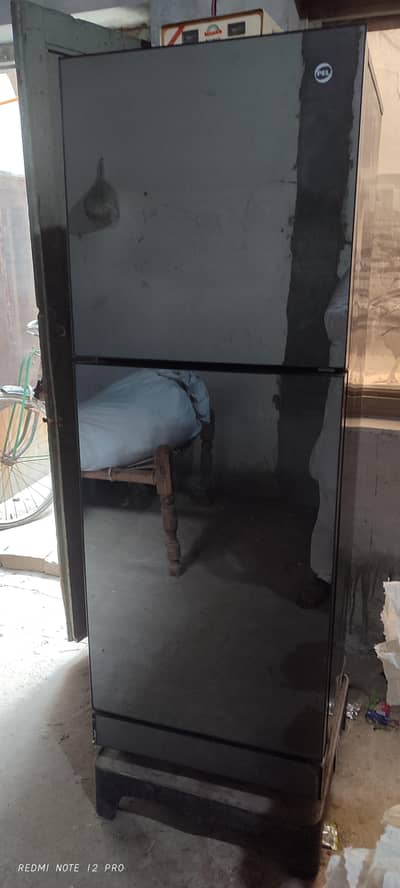 pel ki hai medium size