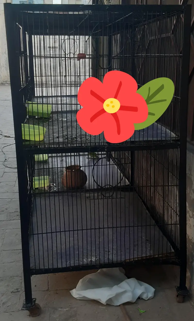 Large Beautiful Cage — photo 3