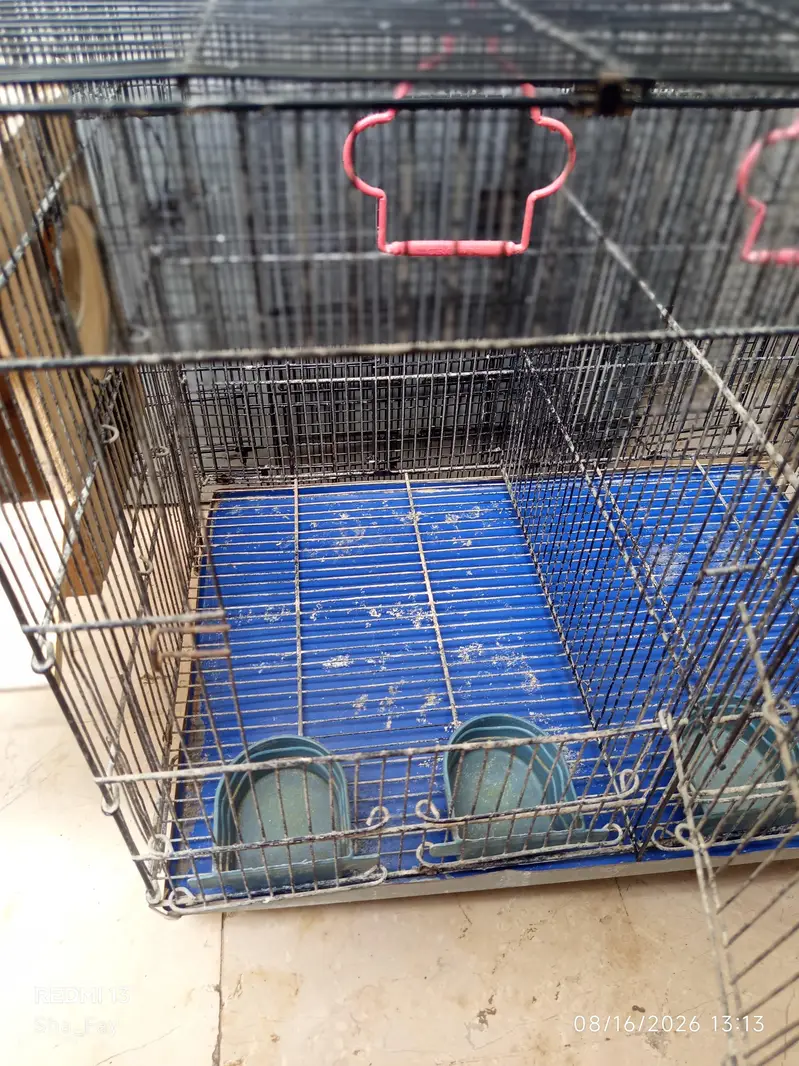 Urgent sale Cages — photo 3