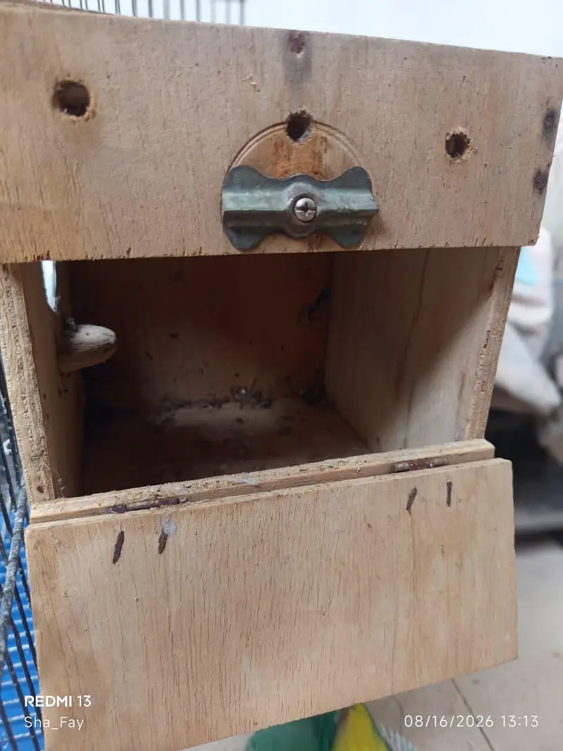 Urgent sale Cages — photo 6
