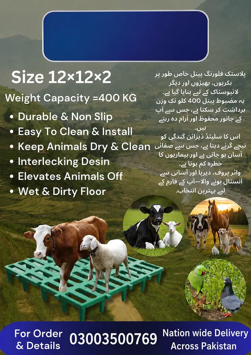 Heavy-duty plastic Flooring pallets for Goats — photo 2