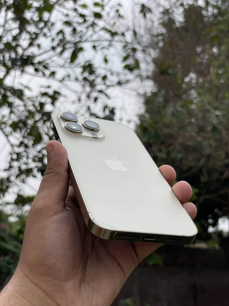 Apple iPhone 14 Pro Max 1