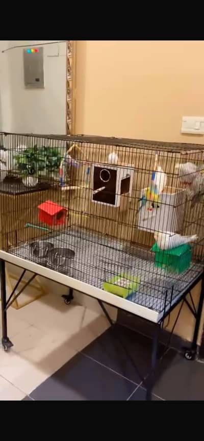 Birds cage with stand good condition