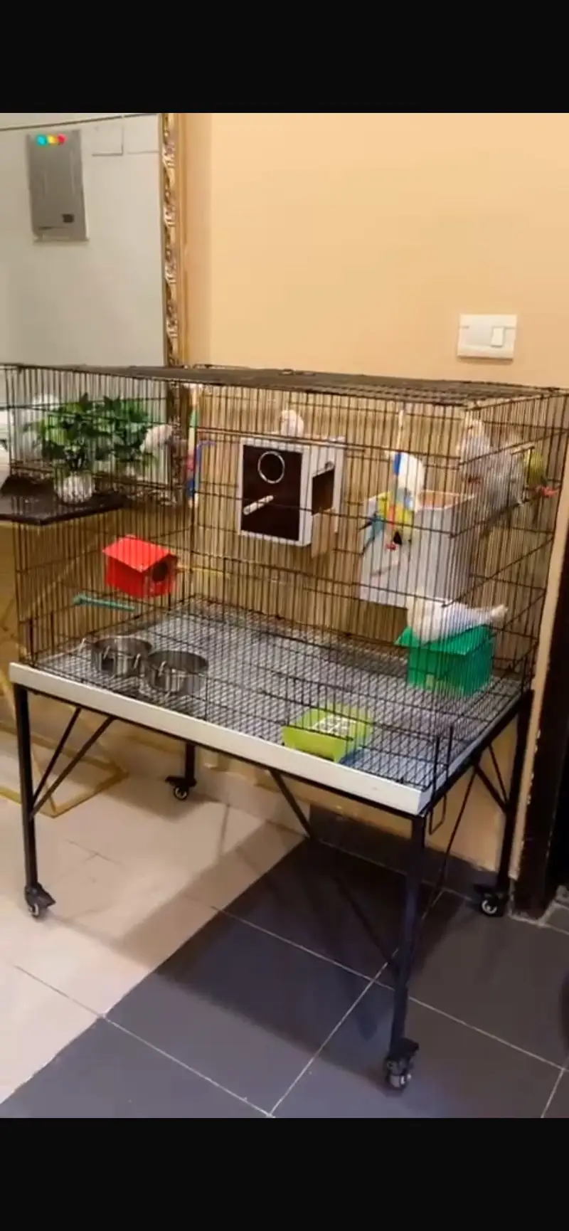 Birds cage with stand good condition — photo 2