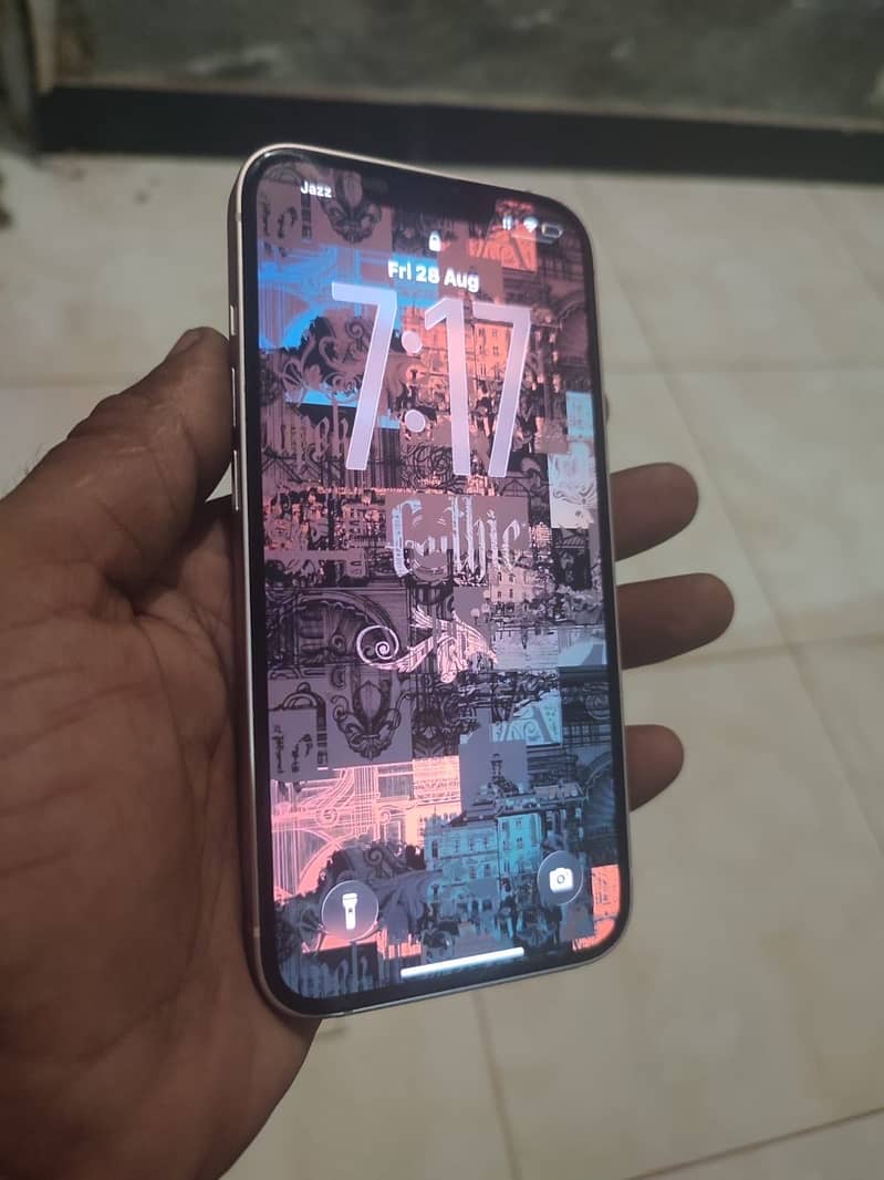 Apple iPhone 13 0