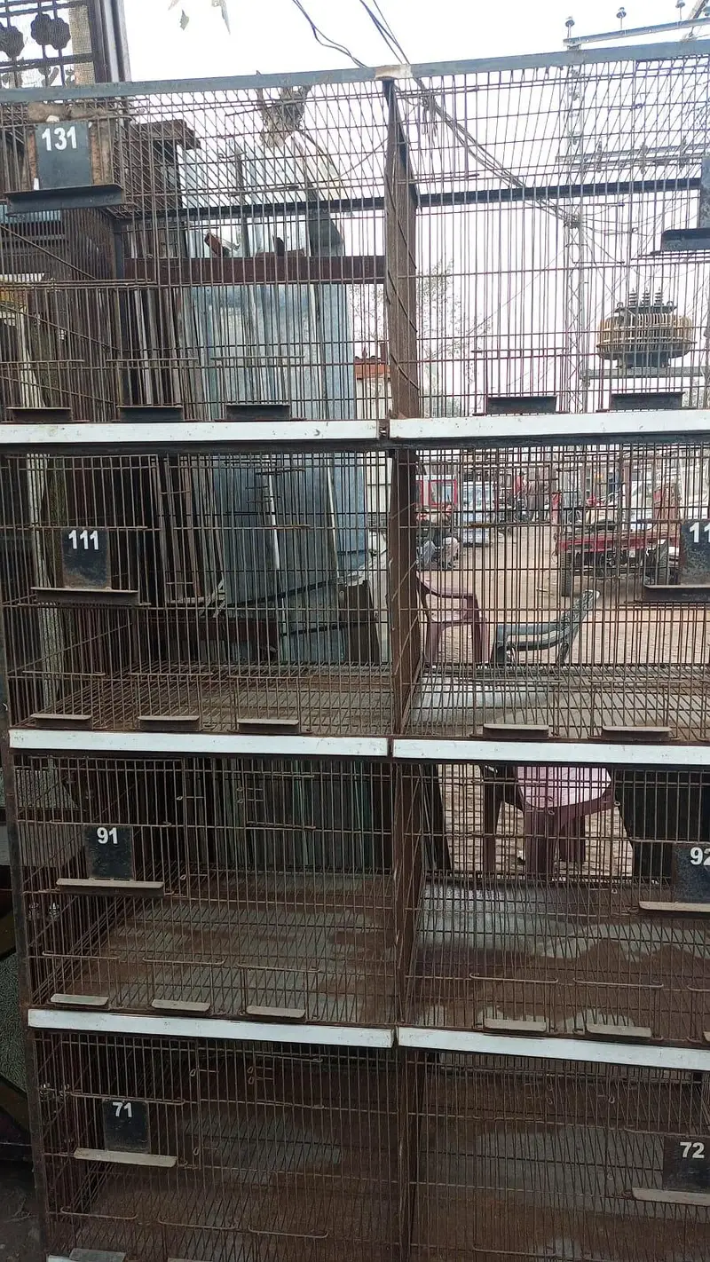 Large cage with 8 section — photo 2