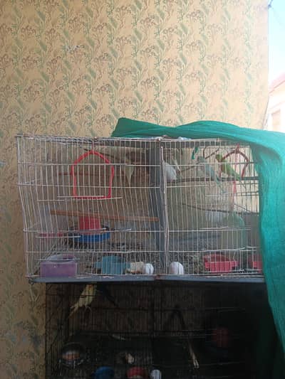 Parrots cage for sale