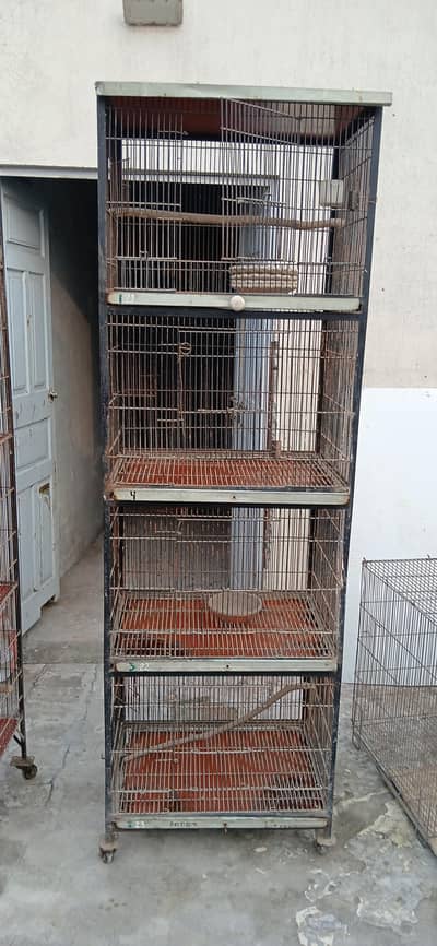 bird cage