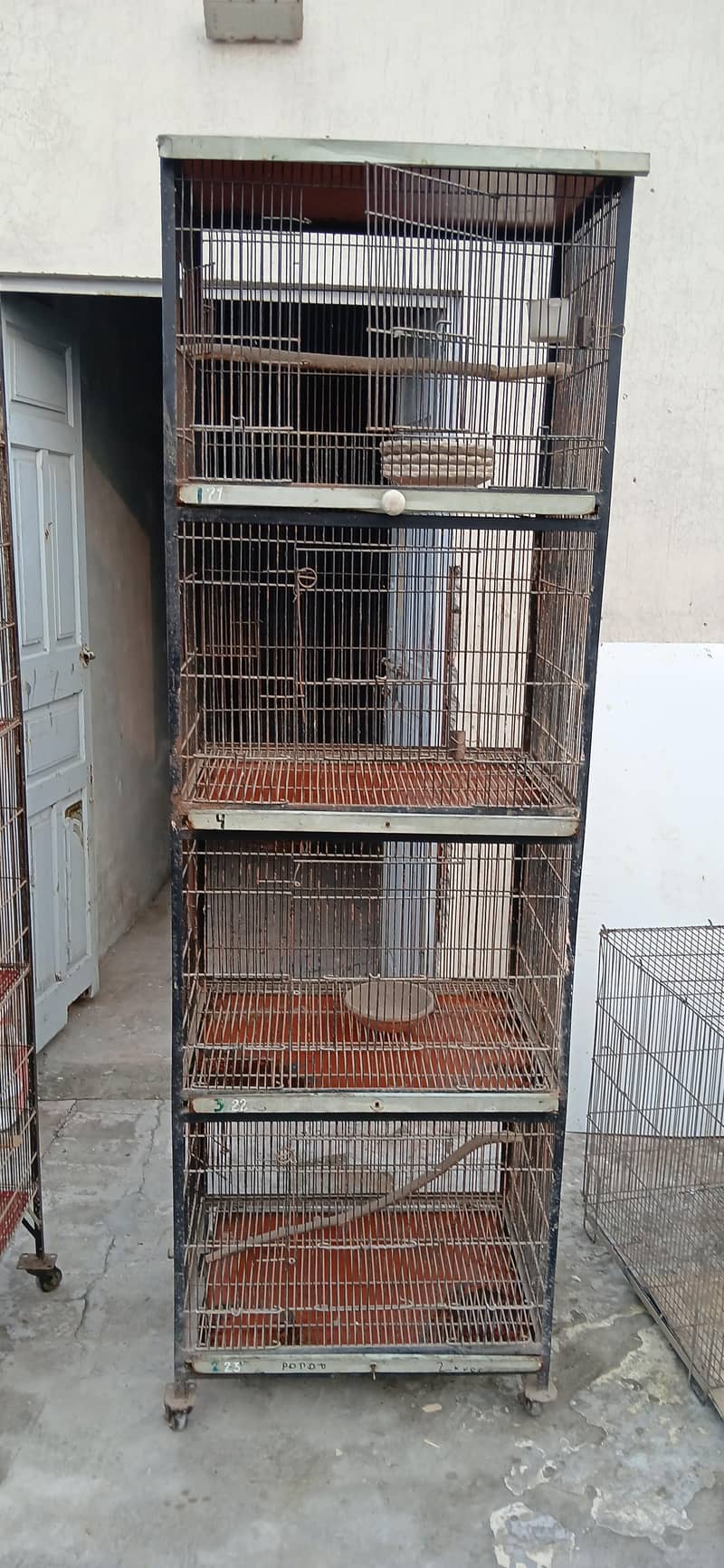 bird cage 0