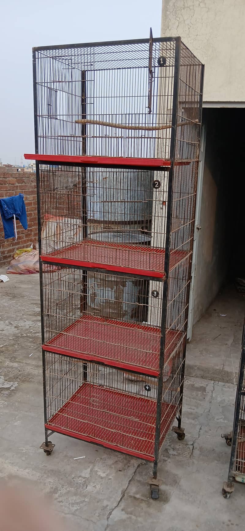 bird cage 1