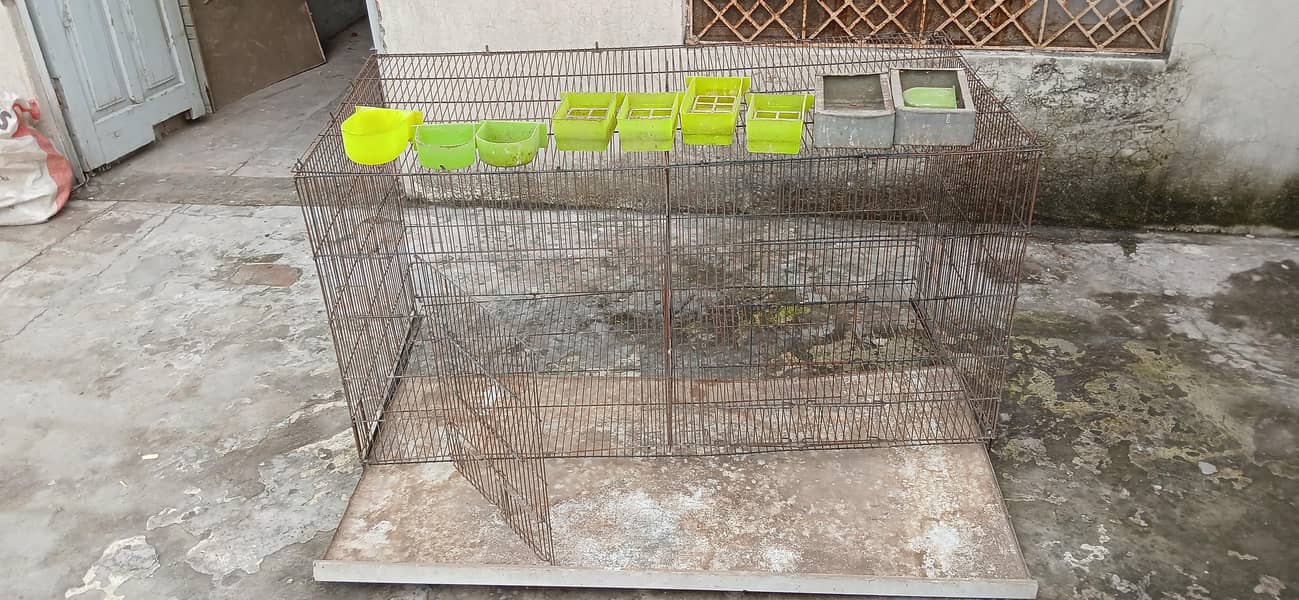 bird cage 2