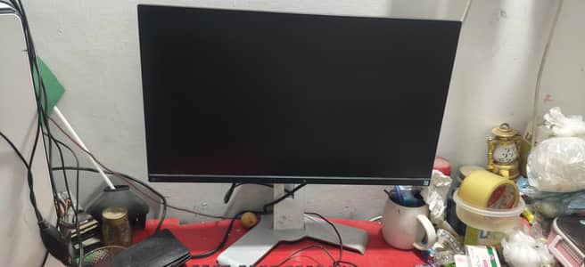 eizo monitor 24  inches