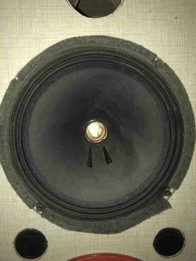 Amplifier with speaker 2
