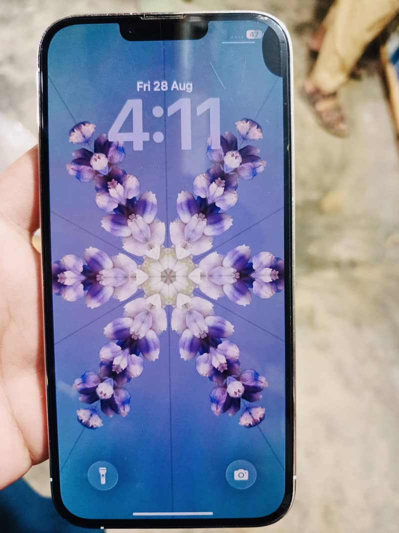 Apple iPhone 13 Pro Max 1